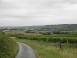  Fernblick zurck nach Ziersdorf 