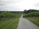  Wanderroute duch die Weinrieden 