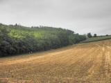  Blick auf die Wanderstrecke 