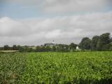  Fernblick nach Maria Jeutendorf 