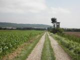  Blick auf die ebene Wanderstrecke 