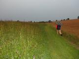  Wanderweg bei Allentsteig 
