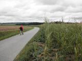  Wanderweg vorbei an Hagel geschdeten Maisfeldern 