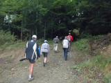  Wanderroute in den dunklen Wald 