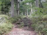  Wanderweg zur Teufelsschssel 