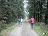  Wanderweg bergab zur Schwarzenbergbahn 