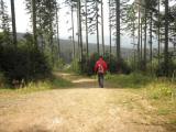  Wanderweg bergab zur Schwarzenbergbahn 