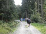  Wanderroute auf schnen Waldwanderwege 