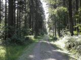  Wanderroute durch den Hinterwald 