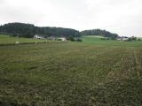  Blick zum Salzinger 