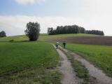  Wanderweg ber die "Leithen" 