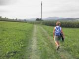  auf der Wanderroute nach Nebelberg 