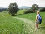  auf der Wanderroute nach Nebelberg 