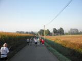 Wanderroute entlang von Maisfeldern 