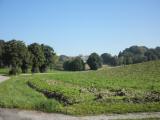  Fernblick zur Therme Bad Griesbach 