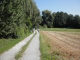  schner Wanderweg in der Nhe von Weng 