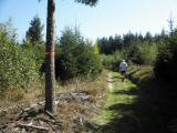  Wanderroute auf schnen Waldwegen 