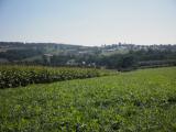  Fernblick nach Bad Griesbach 