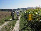  Marathonisauf dem Weg nach Forsting 