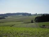  schner Fernblick Richtung Griesbach 