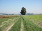  weit ist der Blick 