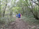  Wanderweg durch die Gollinger Au 