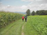  schner Wanderweg 