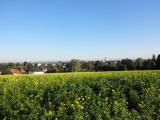  Blick zurck nach Tulbing 