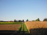  Wanderweg nach Katzelsdorf-Tulbing 