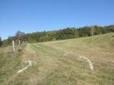  Wanderroute bergan beim "Hirschengarten" 