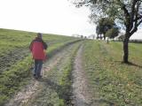  schner Wanderweg entlang von Feldern 