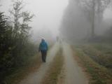  Marathonis im Nebel nach Reitzenschlag 