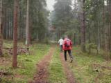  Marathonis durch den Wald des Kreuzbergs 