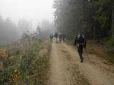  Marathonis durch den Wald des Kreuzbergs 