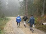  Marathonis durch den Wald des Kreuzbergs 