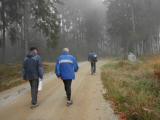  Marathonis durch den Wald der Schnauer Leiten 