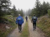  Wanderroute auf schnen Waldwegen 