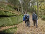  Wanderweg entlang des Herrensees 