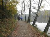  Wanderweg entlang des Herrensees 