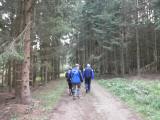  Wanderroute durch den Bader Wald 