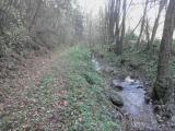  Wanderweg entlang des Sirnitzbaches 