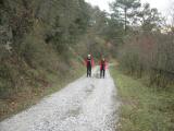  Wanderroute auf der alten Mittelberger Strae 