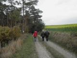  schner Wanderweg ins Kronseggertal 