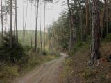 l schner Wanderweg ins Kronseggertal 