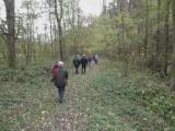  Wanderweg im Loisbachtal 