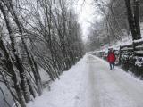 Wanderroute entlang der Enns auf dem "Unterer Schiffweg" 