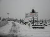  Christbaumkulturen an der Aschacher Strae 