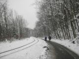 Wanderroute auf dem Steinbruchweg entlang der Steyrtal Museumsbahn 