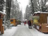  Steyrer Christkindlmarkt auf der Promenade 