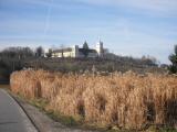  Fernblick zur Tillysburg 